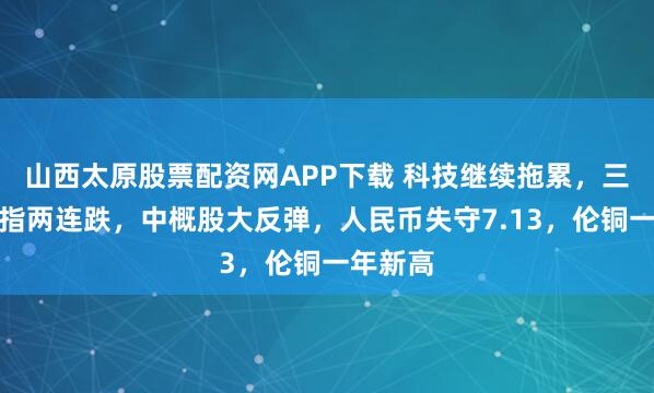 山西太原股票配资网APP下载 科技继续拖累，三大美股指两连跌，中概股大反弹，人民币失守7.13，伦铜一年新高