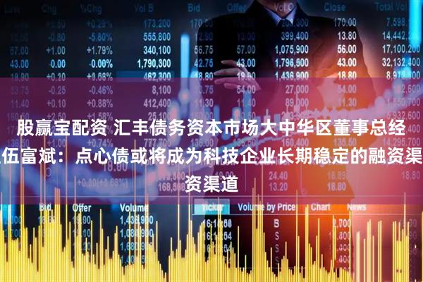 股赢宝配资 汇丰债务资本市场大中华区董事总经理伍富斌：点心债或将成为科技企业长期稳定的融资渠道
