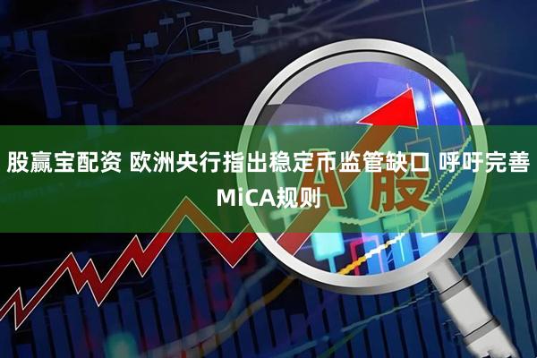 股赢宝配资 欧洲央行指出稳定币监管缺口 呼吁完善MiCA规则